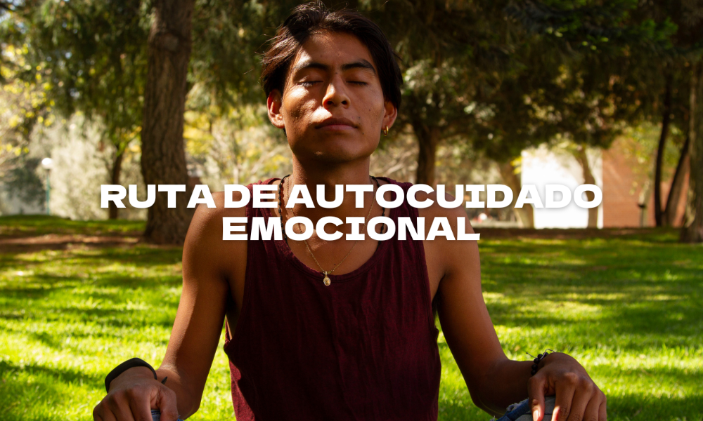 Algo salió mal...