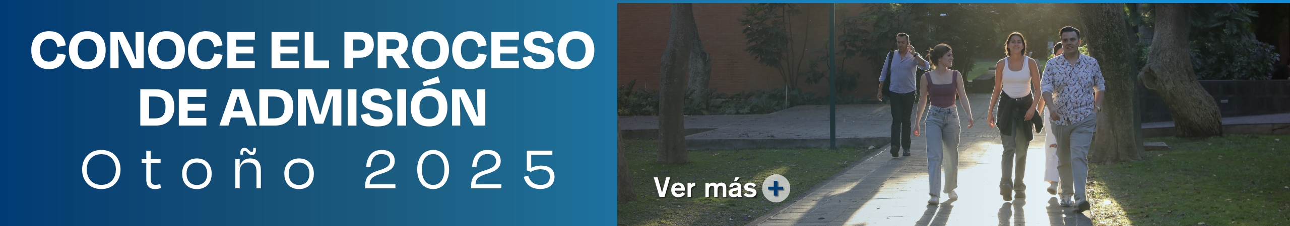 Imagen Móvil